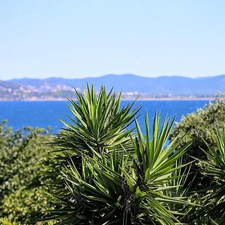 L'arbanaise Vue Mer/piscine Presqu'ile Giens Villa *