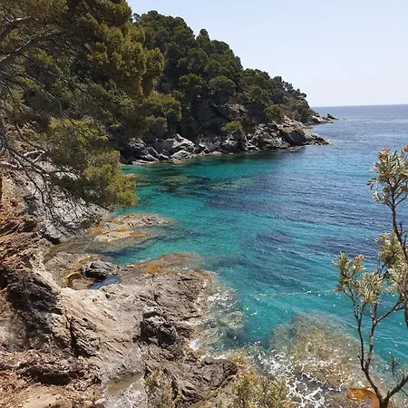 Villa L'arbanaise Vue Mer/piscine Presqu'ile Giens Hyères